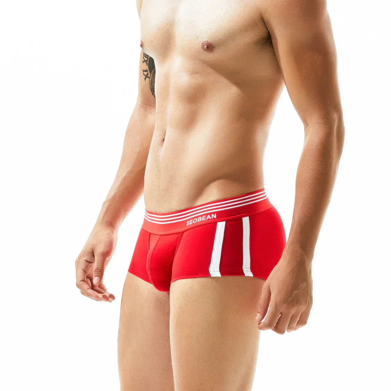 Sexy Menswear Side Stripe Print Design Stretchable Short Length Brief